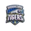 Bhubaneshwar Tigers Flag