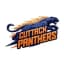 Cuttack Panthers Flag